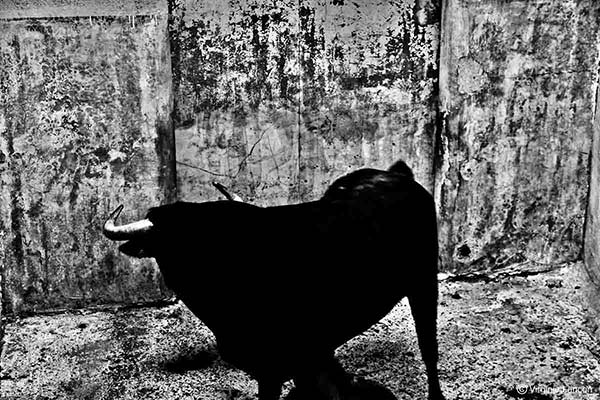 Photographie nomade.